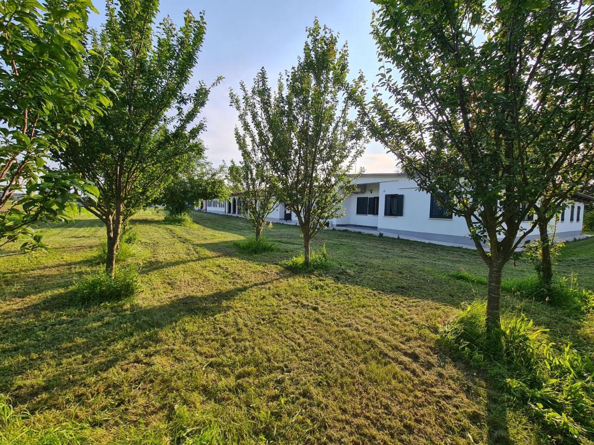 Agriturismo Ca Novak Venezia Villa Spinea Exterior foto